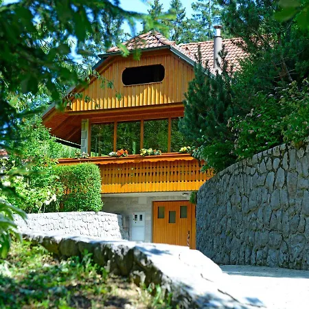 Carpenters Dream House